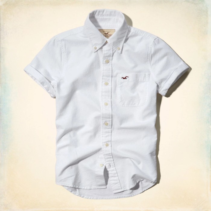 Hollister mens dress shirts