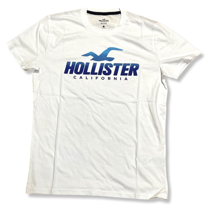 Hollister mens dress shirts